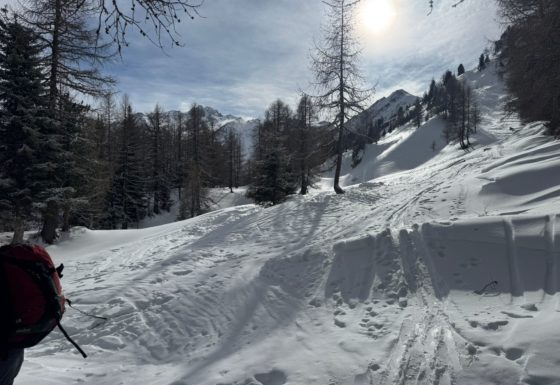 <?php echo e(get_post_field('post_excerpt', 21430)); ?>