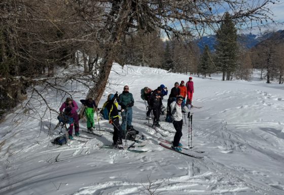 <?php echo e(get_post_field('post_excerpt', 21431)); ?>