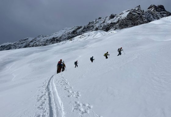 <?php echo e(get_post_field('post_excerpt', 21461)); ?>