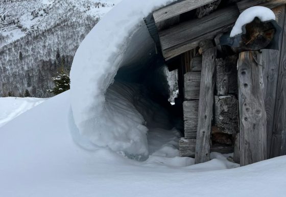 <?php echo e(get_post_field('post_excerpt', 21463)); ?>