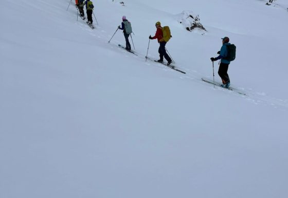 <?php echo e(get_post_field('post_excerpt', 21464)); ?>