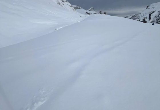 <?php echo e(get_post_field('post_excerpt', 21467)); ?>