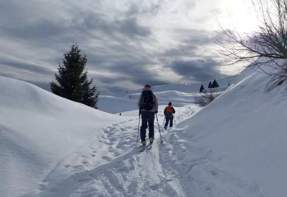 <?php echo e(get_post_field('post_excerpt', 21469)); ?>