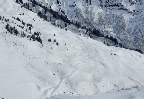 <?php echo e(get_post_field('post_excerpt', 21470)); ?>