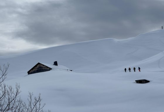 <?php echo e(get_post_field('post_excerpt', 21471)); ?>