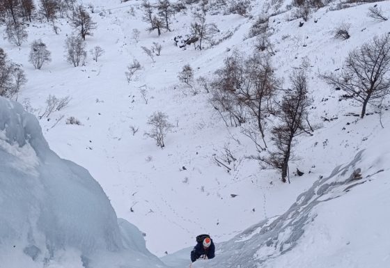 <?php echo e(get_post_field('post_excerpt', 21280)); ?>