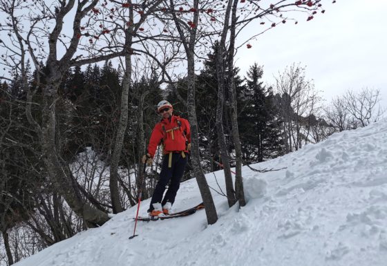 <?php echo e(get_post_field('post_excerpt', 21325)); ?>