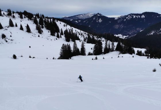 <?php echo e(get_post_field('post_excerpt', 21331)); ?>