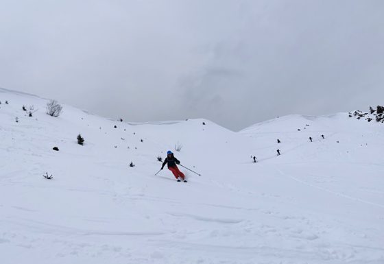 <?php echo e(get_post_field('post_excerpt', 21333)); ?>