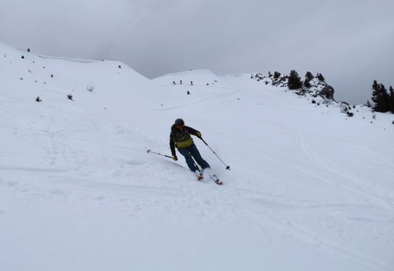 <?php echo e(get_post_field('post_excerpt', 21334)); ?>