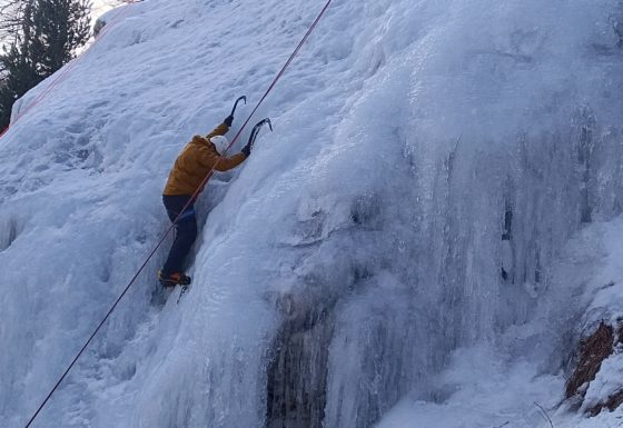 <?php echo e(get_post_field('post_excerpt', 21281)); ?>