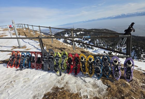 <?php echo e(get_post_field('post_excerpt', 21271)); ?>