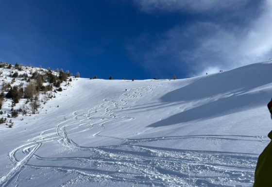 <?php echo e(get_post_field('post_excerpt', 21453)); ?>