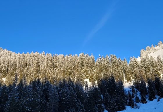 <?php echo e(get_post_field('post_excerpt', 21643)); ?>