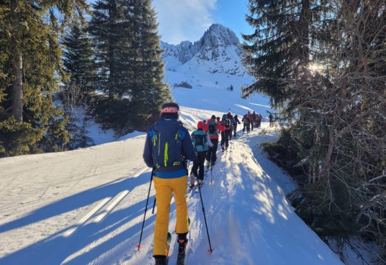 <?php echo e(get_post_field('post_excerpt', 21645)); ?>