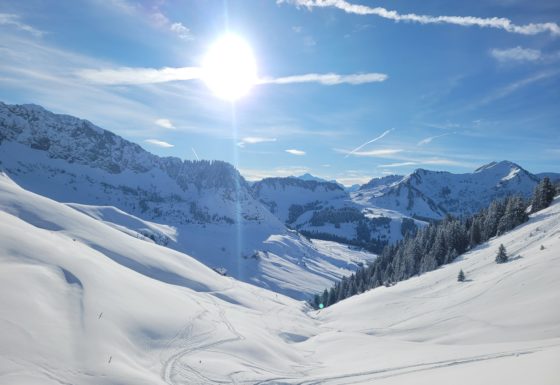 <?php echo e(get_post_field('post_excerpt', 21647)); ?>