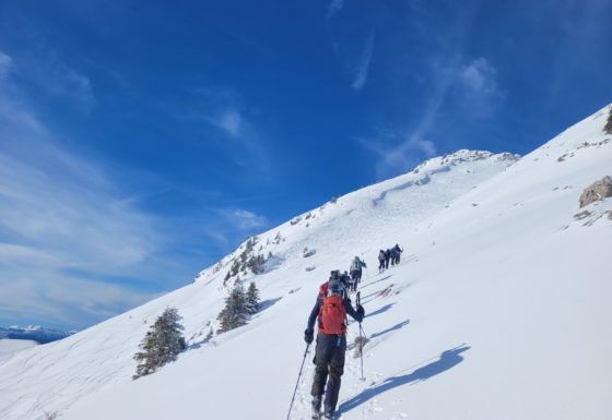 <?php echo e(get_post_field('post_excerpt', 21649)); ?>