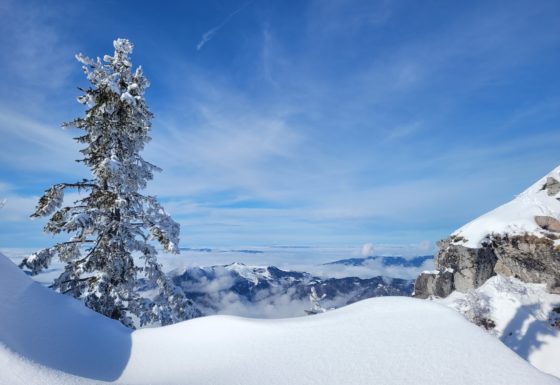 <?php echo e(get_post_field('post_excerpt', 21651)); ?>