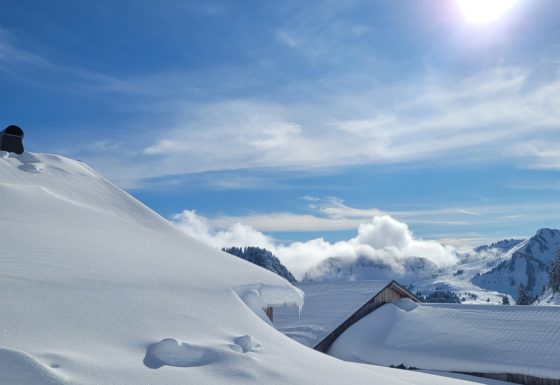 <?php echo e(get_post_field('post_excerpt', 21652)); ?>