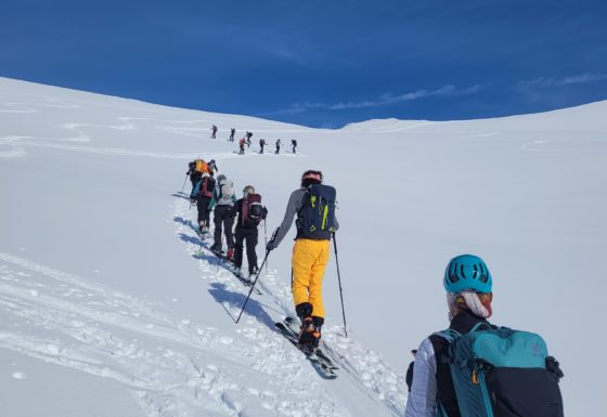 <?php echo e(get_post_field('post_excerpt', 21653)); ?>