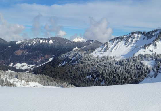 <?php echo e(get_post_field('post_excerpt', 21654)); ?>