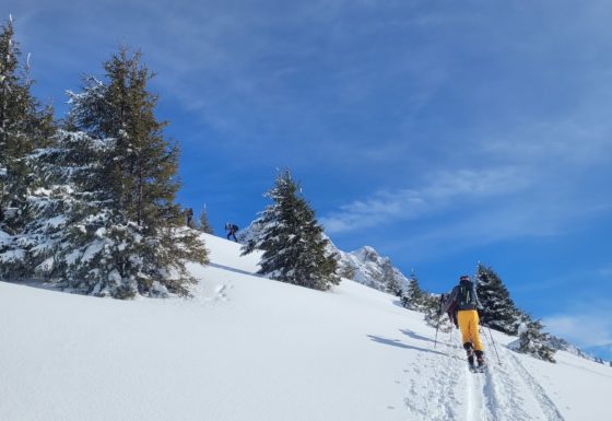 <?php echo e(get_post_field('post_excerpt', 21657)); ?>