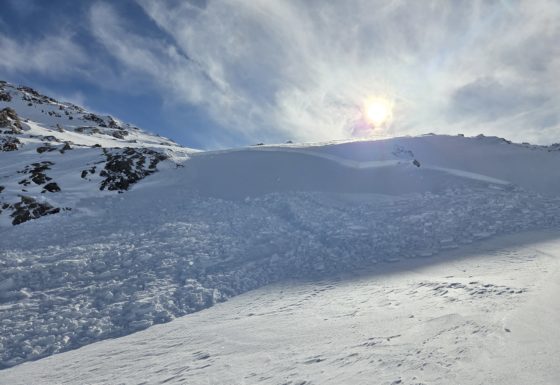 <?php echo e(get_post_field('post_excerpt', 21775)); ?>