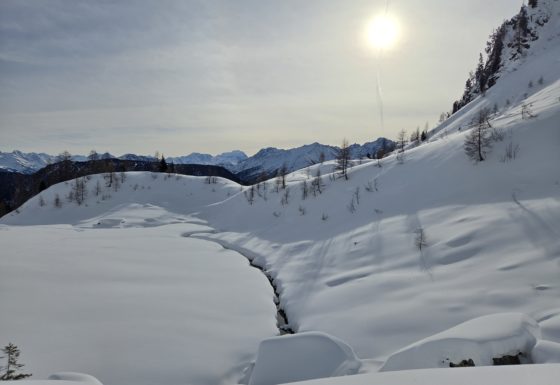 <?php echo e(get_post_field('post_excerpt', 21802)); ?>