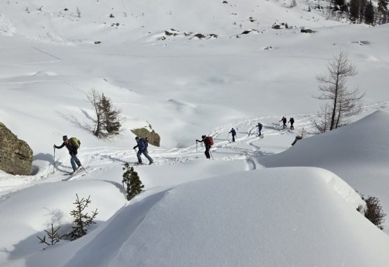 <?php echo e(get_post_field('post_excerpt', 21803)); ?>