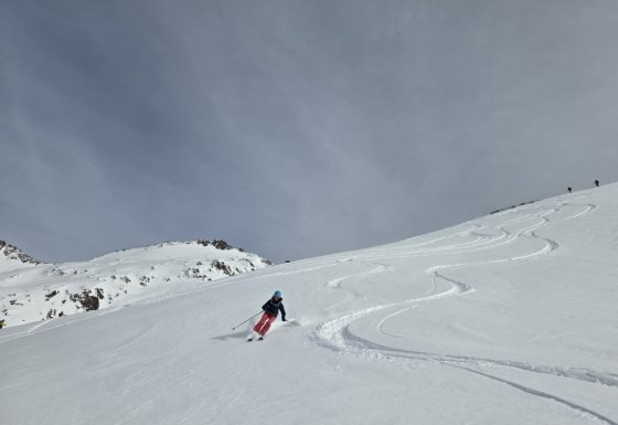 <?php echo e(get_post_field('post_excerpt', 21792)); ?>