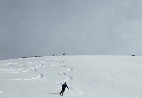 <?php echo e(get_post_field('post_excerpt', 21793)); ?>