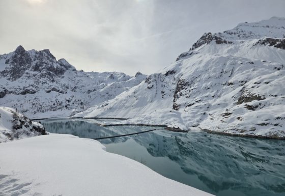 <?php echo e(get_post_field('post_excerpt', 21794)); ?>