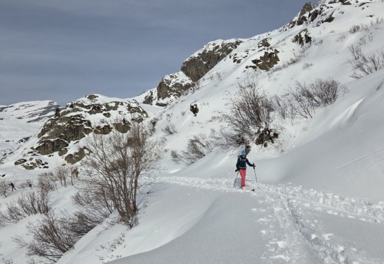 <?php echo e(get_post_field('post_excerpt', 21795)); ?>