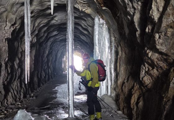 <?php echo e(get_post_field('post_excerpt', 21796)); ?>