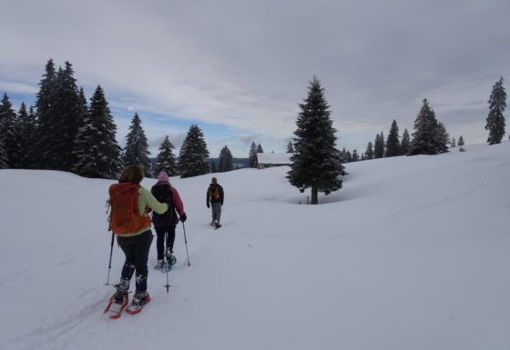 <?php echo e(get_post_field('post_excerpt', 21922)); ?>