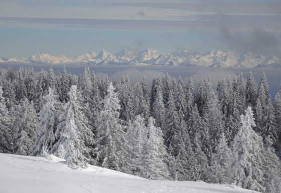 <?php echo e(get_post_field('post_excerpt', 21925)); ?>