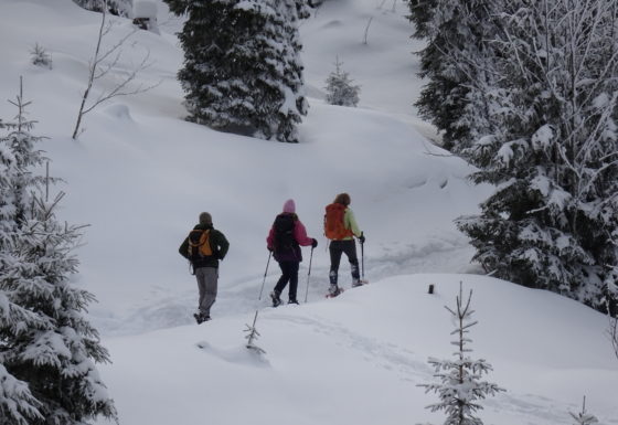 <?php echo e(get_post_field('post_excerpt', 21926)); ?>