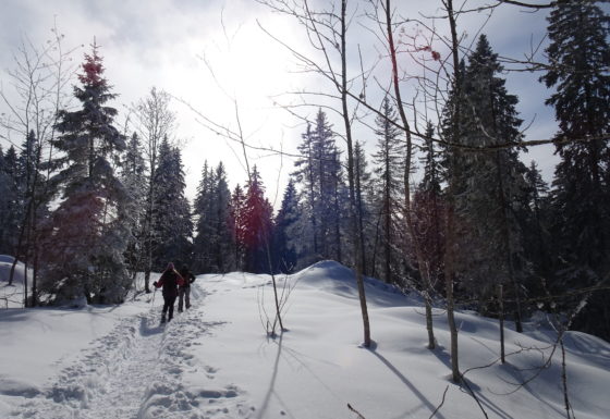 <?php echo e(get_post_field('post_excerpt', 21929)); ?>