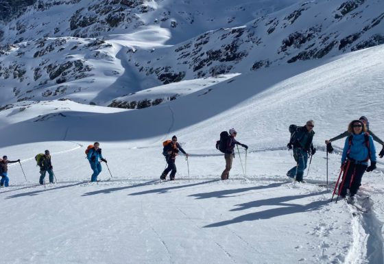 <?php echo e(get_post_field('post_excerpt', 21779)); ?>