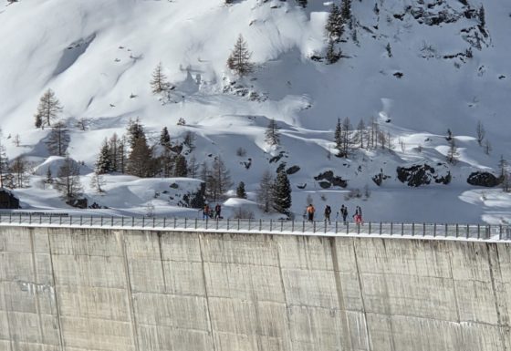 <?php echo e(get_post_field('post_excerpt', 21780)); ?>