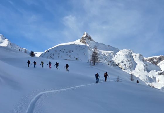 <?php echo e(get_post_field('post_excerpt', 21782)); ?>