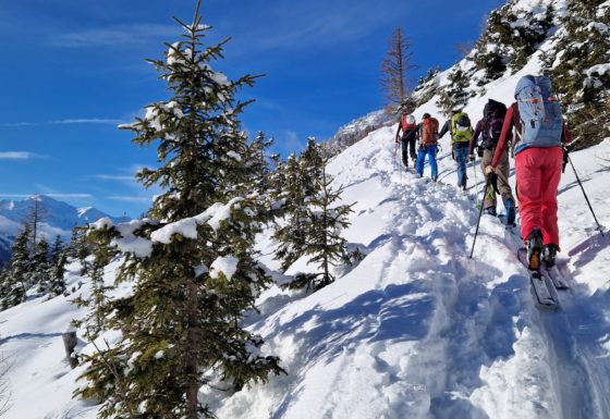 <?php echo e(get_post_field('post_excerpt', 21784)); ?>