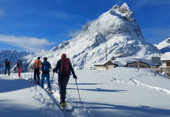 <?php echo e(get_post_field('post_excerpt', 21785)); ?>