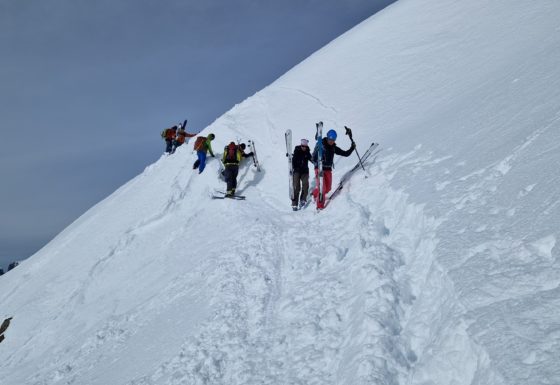 <?php echo e(get_post_field('post_excerpt', 21797)); ?>