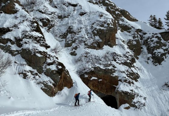 <?php echo e(get_post_field('post_excerpt', 21799)); ?>