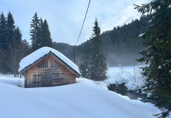 <?php echo e(get_post_field('post_excerpt', 21879)); ?>