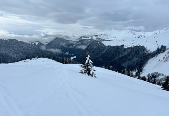 <?php echo e(get_post_field('post_excerpt', 21883)); ?>