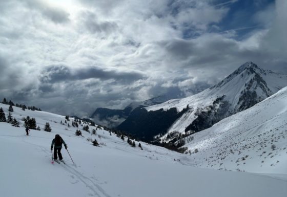 <?php echo e(get_post_field('post_excerpt', 21884)); ?>