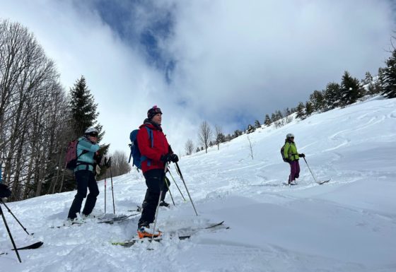 <?php echo e(get_post_field('post_excerpt', 21885)); ?>