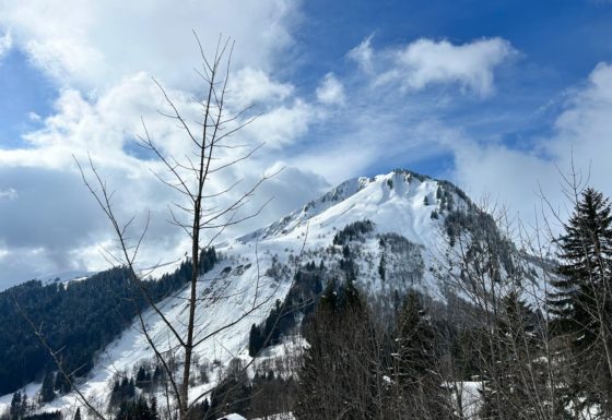 <?php echo e(get_post_field('post_excerpt', 21886)); ?>